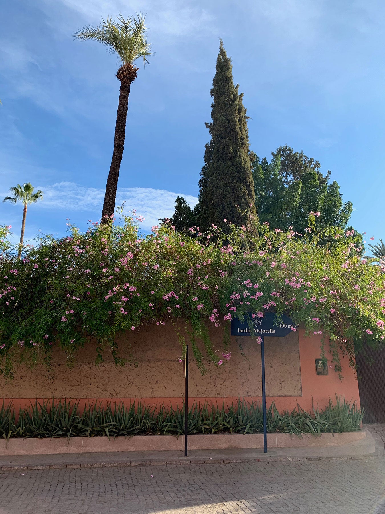 十兵衛様 新春セール❣️10%OFF新品 ワイエルジョイ 15ml 2本